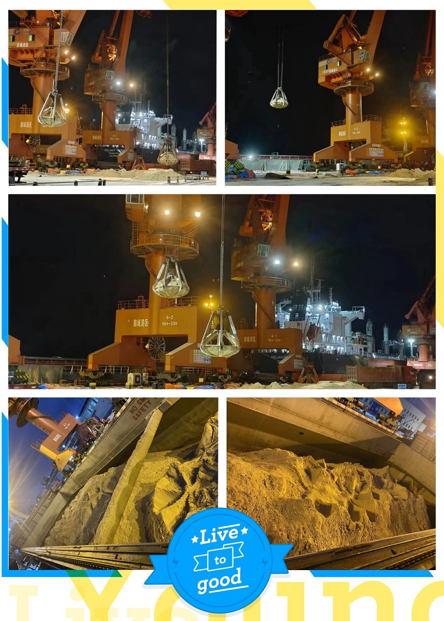 FGD Gypsum Export